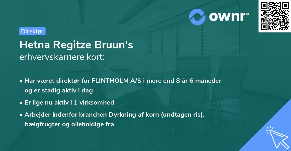 Hetna Regitze Bruun's erhvervskarriere kort