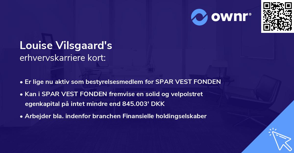 Louise Vilsgaard's erhvervskarriere kort
