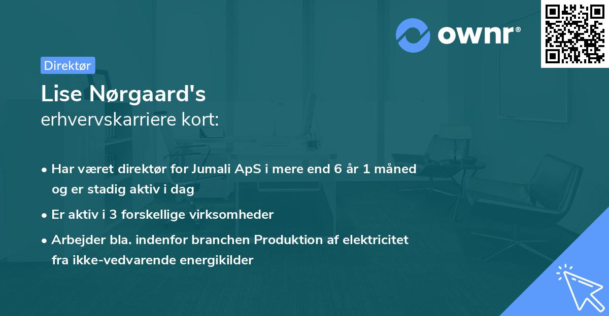 Lise Nørgaard's erhvervskarriere kort
