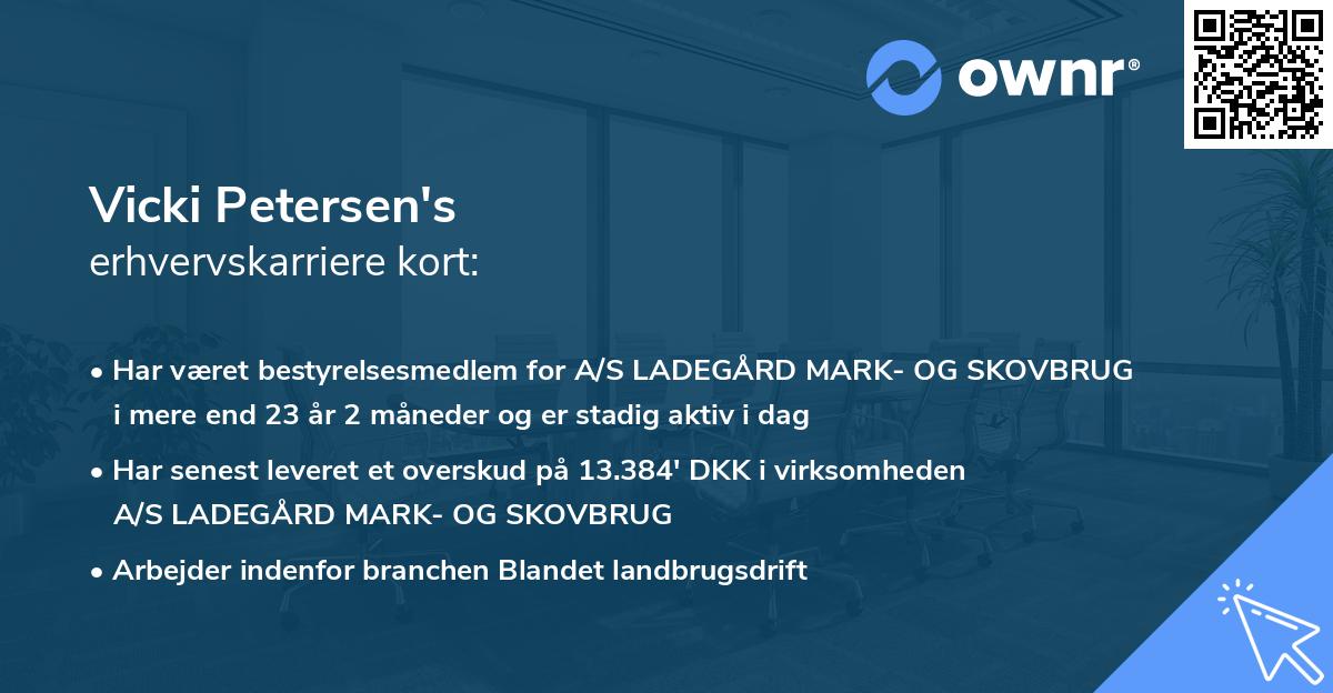 Vicki Petersen's erhvervskarriere kort