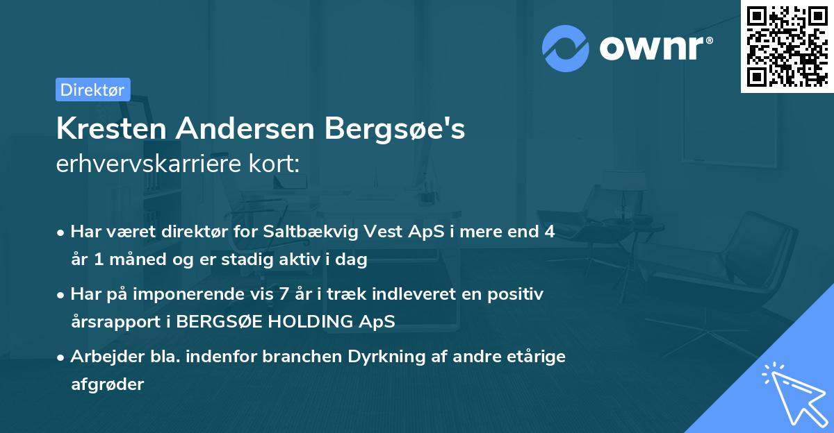 Kresten Andersen Bergsøe's erhvervskarriere kort