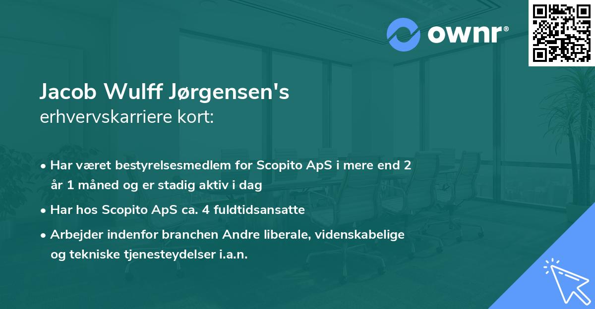 Jacob Wulff Jørgensen's erhvervskarriere kort