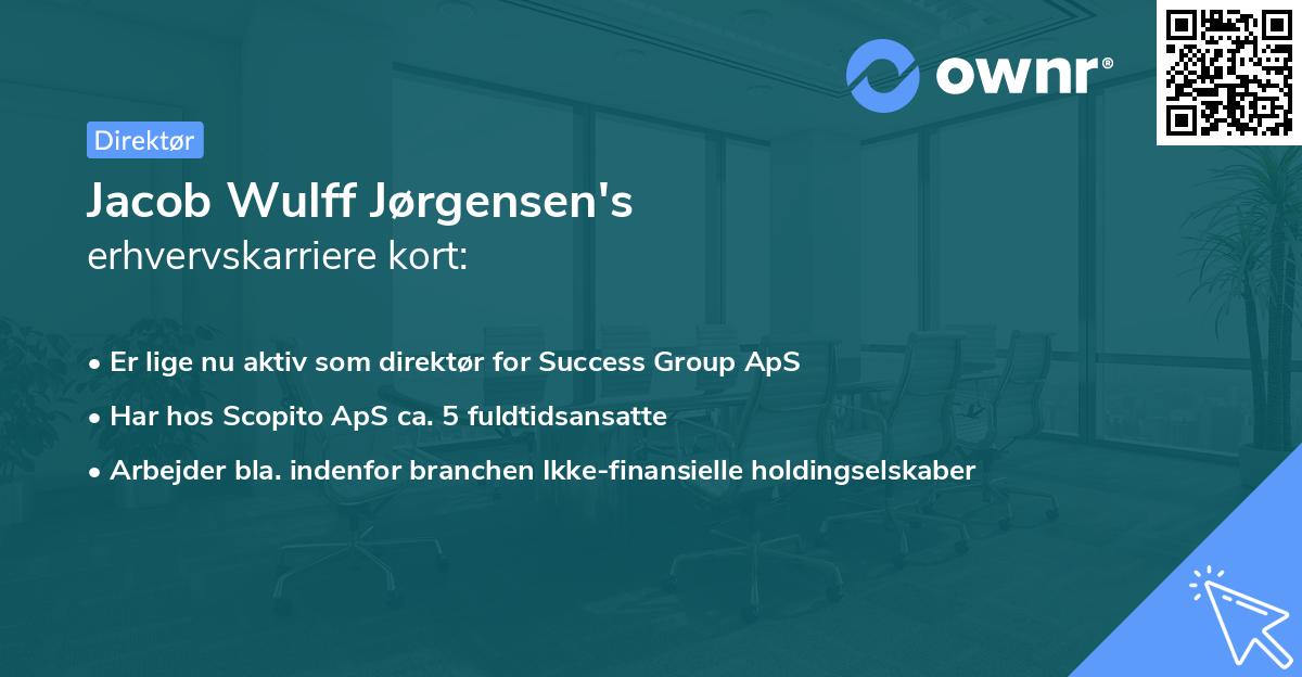 Jacob Wulff Jørgensen's erhvervskarriere kort