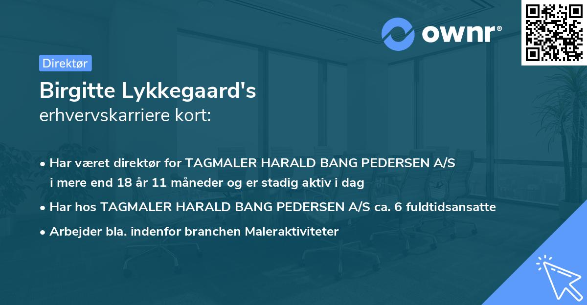 Birgitte Lykkegaard's erhvervskarriere kort