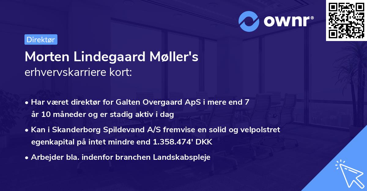 Morten Lindegaard Møller's erhvervskarriere kort