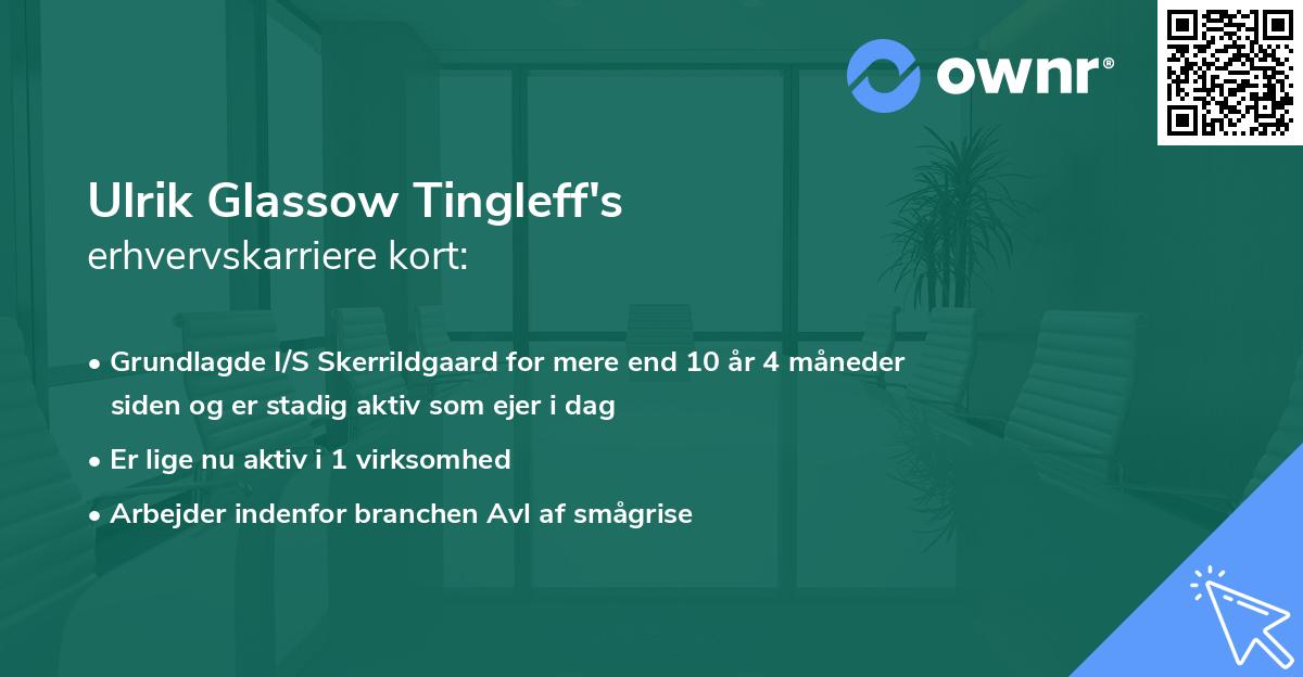 Ulrik Glassow Tingleff's erhvervskarriere kort