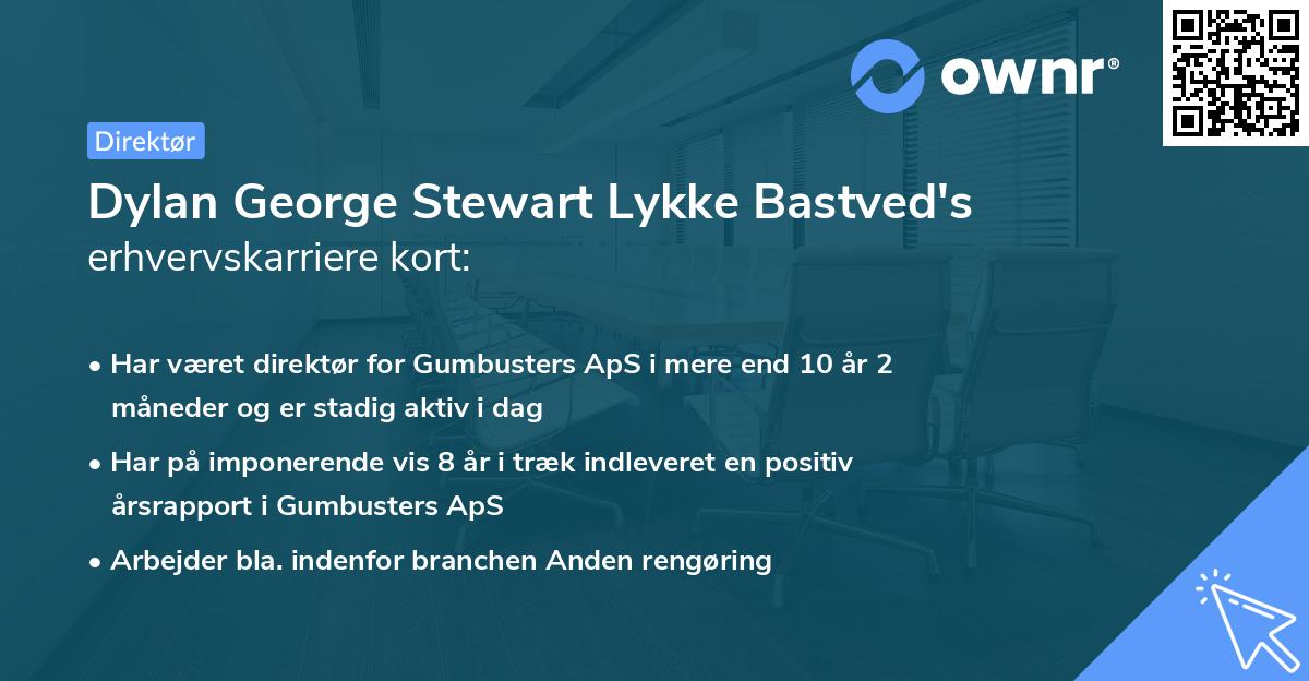 Dylan George Stewart Lykke Bastved's erhvervskarriere kort