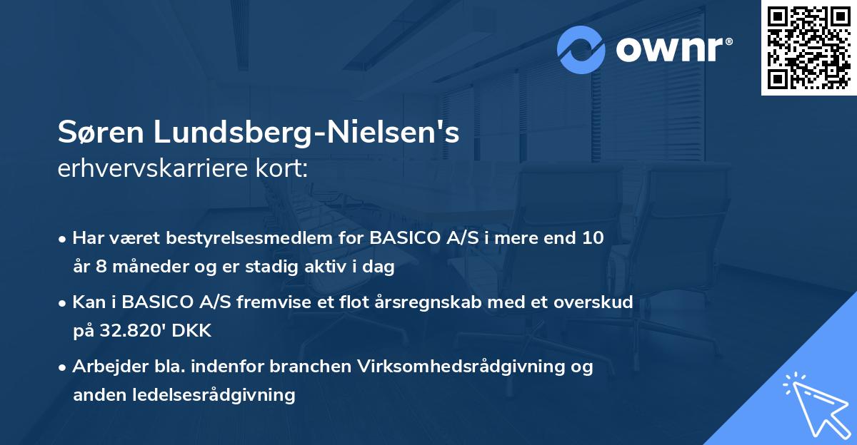 Søren Lundsberg-Nielsen's erhvervskarriere kort