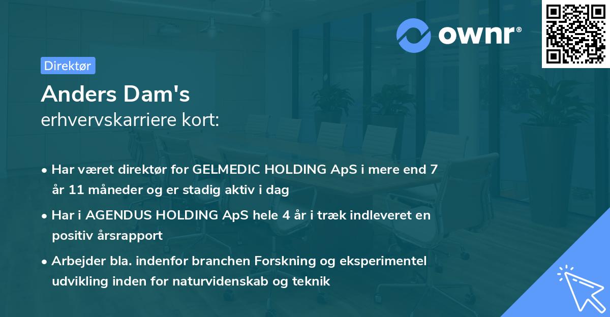 Anders Dam's erhvervskarriere kort