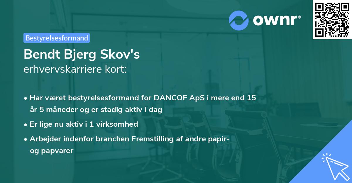 Bendt Bjerg Skov's erhvervskarriere kort