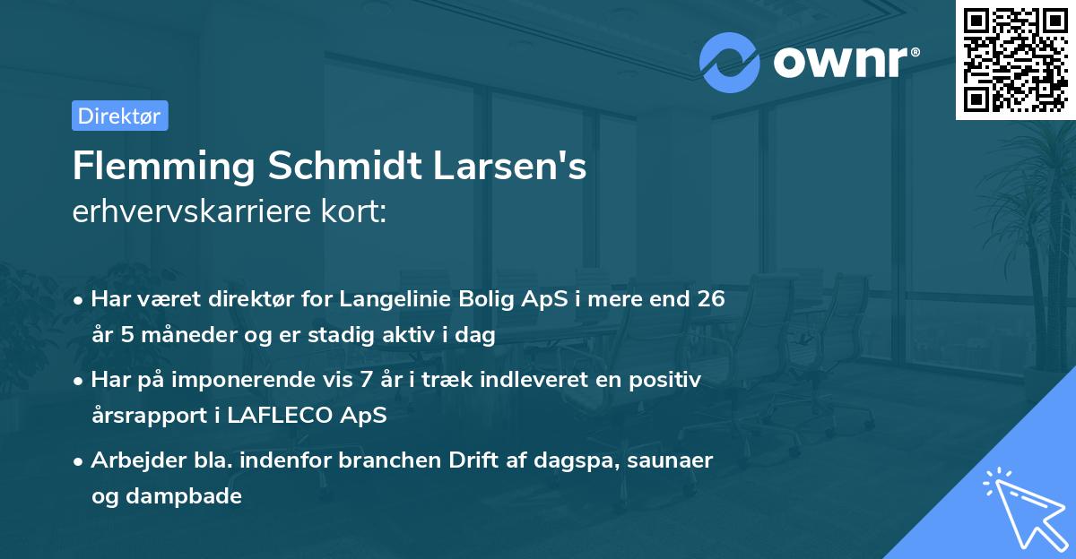 Flemming Schmidt Larsen's erhvervskarriere kort