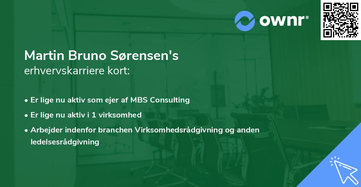 Martin Bruno Sørensen's erhvervskarriere kort