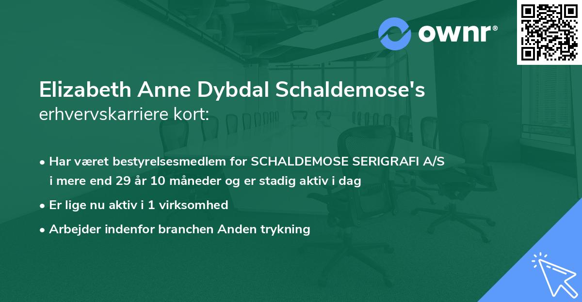 Elizabeth Anne Dybdal Schaldemose's erhvervskarriere kort