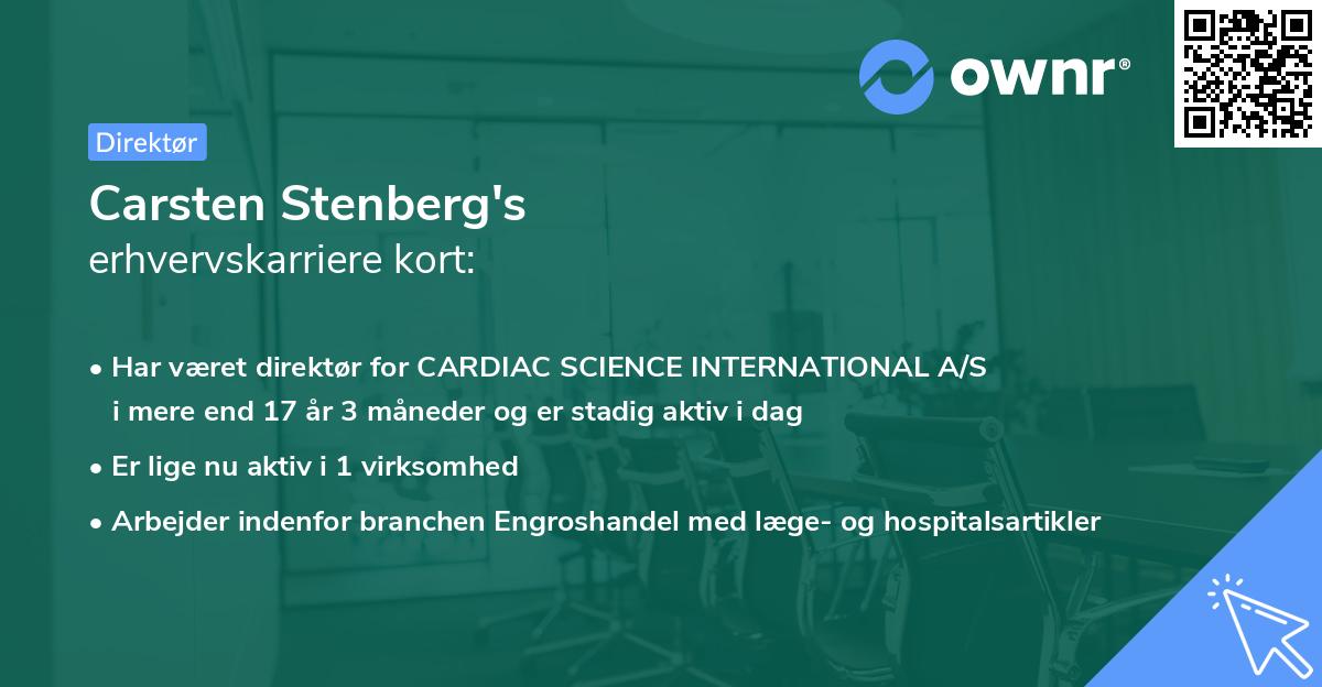 Carsten Stenberg's erhvervskarriere kort