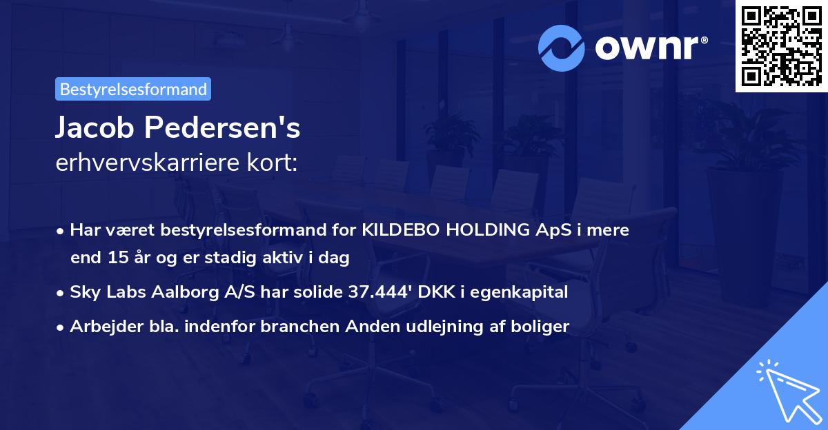 Jacob Pedersen's erhvervskarriere kort
