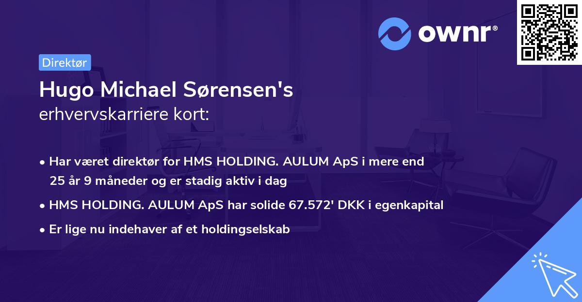 Hugo Michael Sørensen's erhvervskarriere kort