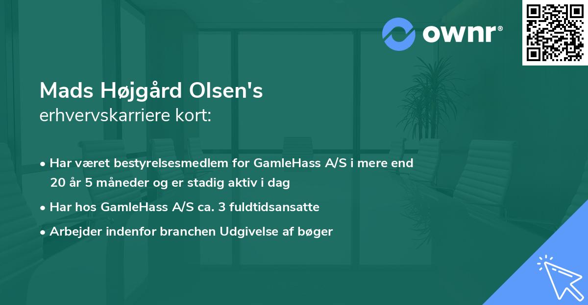 Mads Højgård Olsen's erhvervskarriere kort