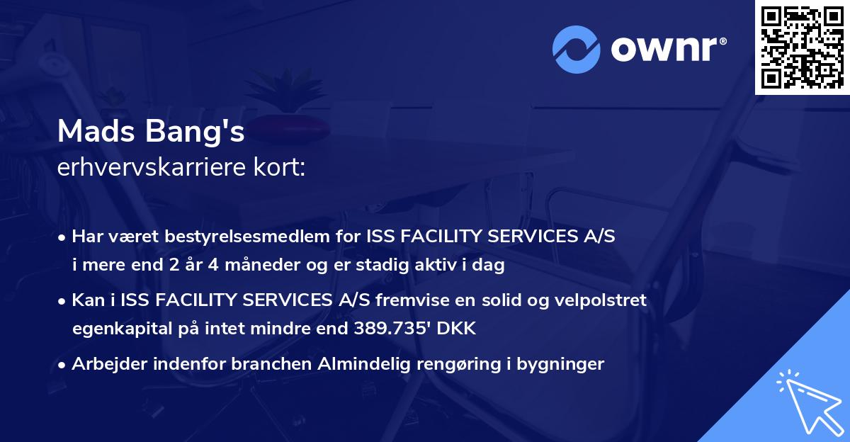 Mads Bang's erhvervskarriere kort