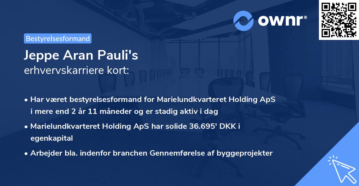 Jeppe Aran Pauli's erhvervskarriere kort