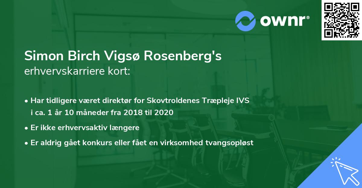 Simon Birch Vigsø Rosenberg's erhvervskarriere kort