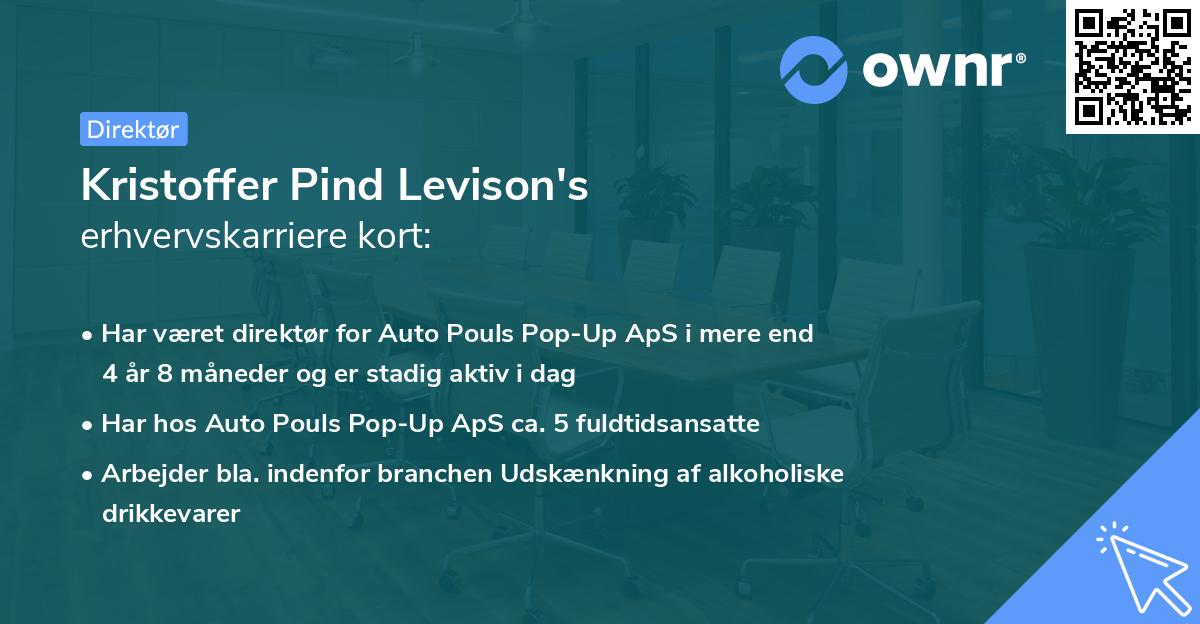 Kristoffer Pind Levison's erhvervskarriere kort