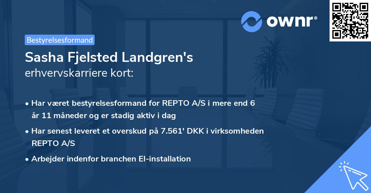 Sasha Fjelsted Landgren's erhvervskarriere kort