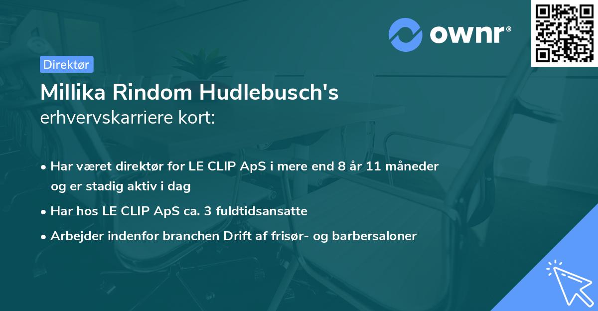 Millika Rindom Hudlebusch's erhvervskarriere kort