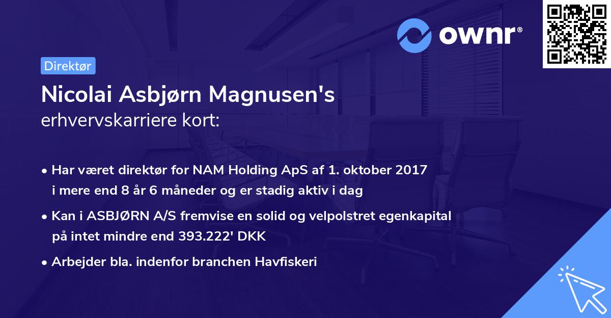 Nicolai Asbjørn Magnusen's erhvervskarriere kort