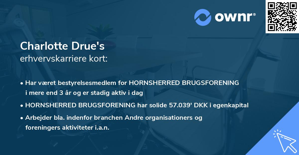 Charlotte Drue's erhvervskarriere kort