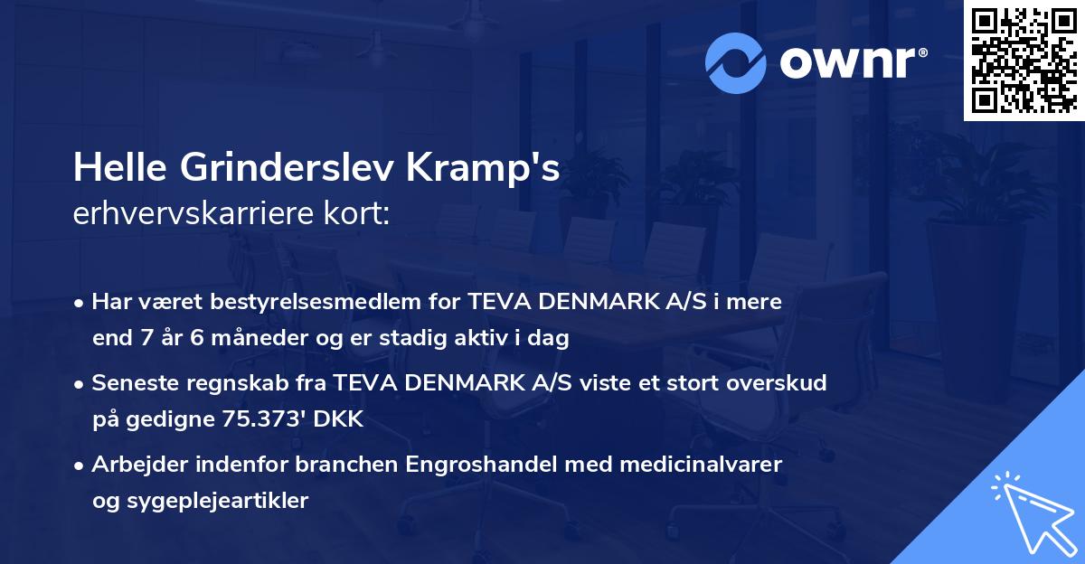 Helle Grinderslev Kramp's erhvervskarriere kort