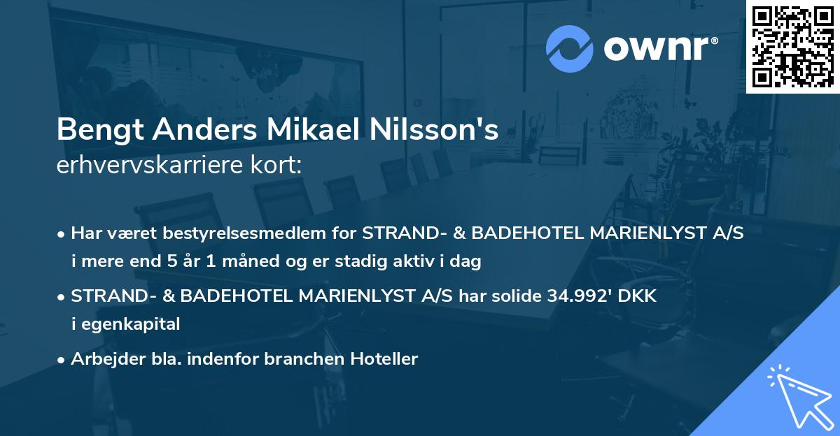 Bengt Anders Mikael Nilsson's erhvervskarriere kort