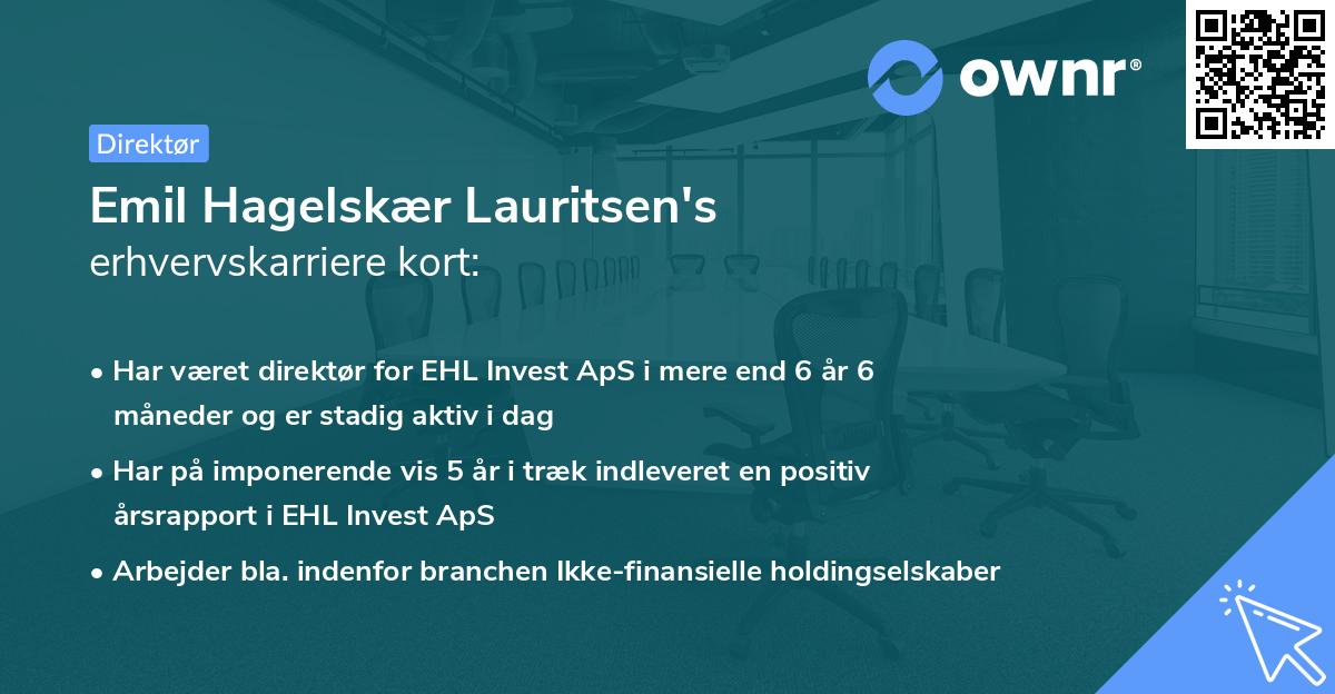Emil Hagelskær Lauritsen's erhvervskarriere kort