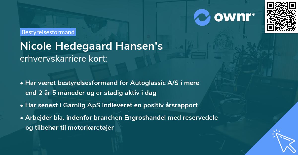 Nicole Hedegaard Hansen's erhvervskarriere kort