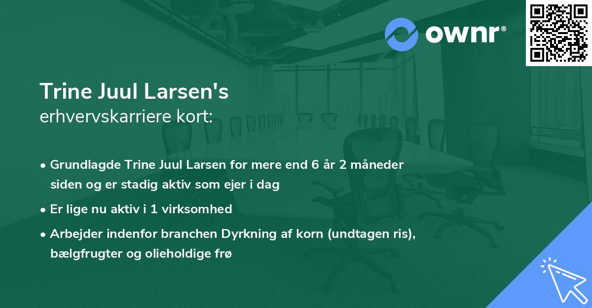 Trine Juul Larsen's erhvervskarriere kort