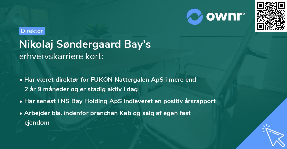 Nikolaj Søndergaard Bay's erhvervskarriere kort