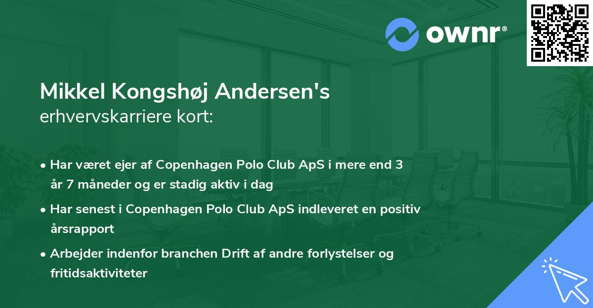 Mikkel Kongshøj Andersen's erhvervskarriere kort