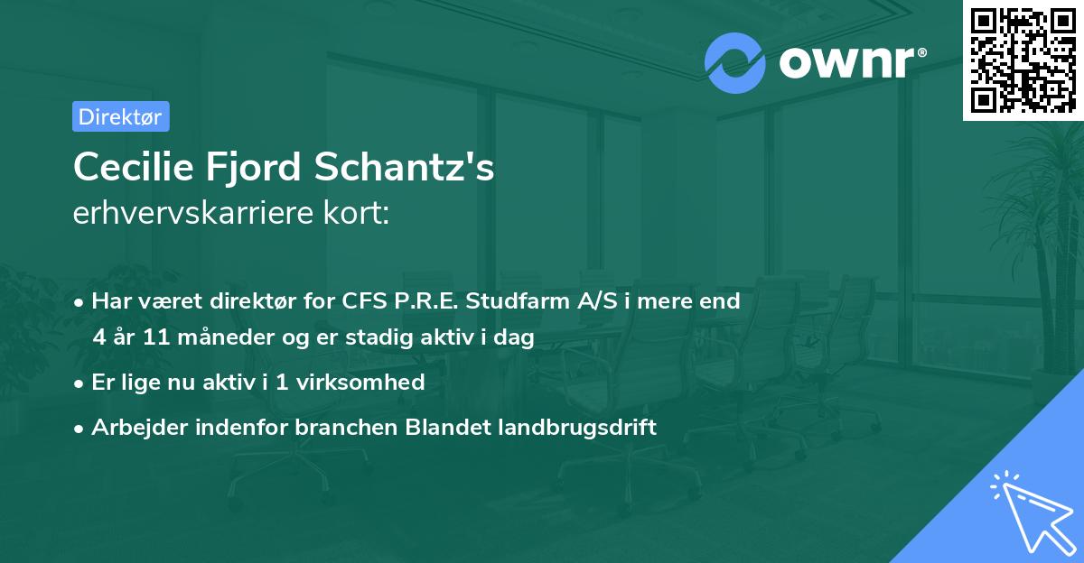 Cecilie Fjord Schantz's erhvervskarriere kort