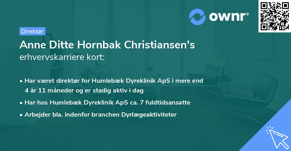 Anne Ditte Hornbak Christiansen's erhvervskarriere kort