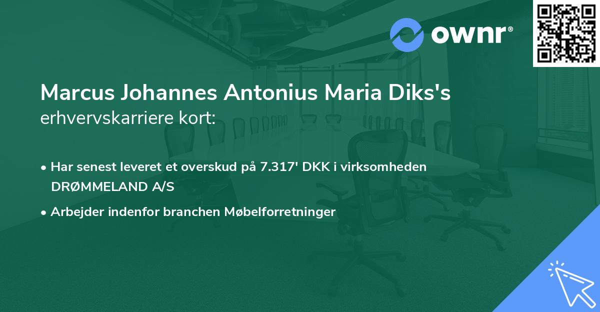 Marcus Johannes Antonius Maria Diks's erhvervskarriere kort