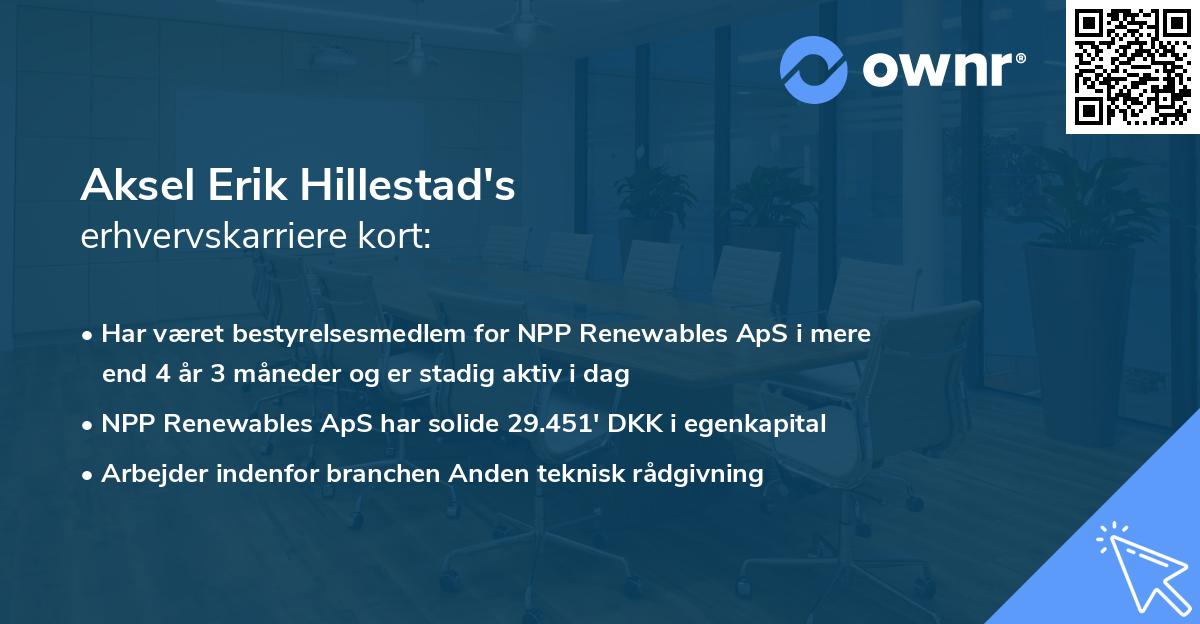 Aksel Erik Hillestad's erhvervskarriere kort