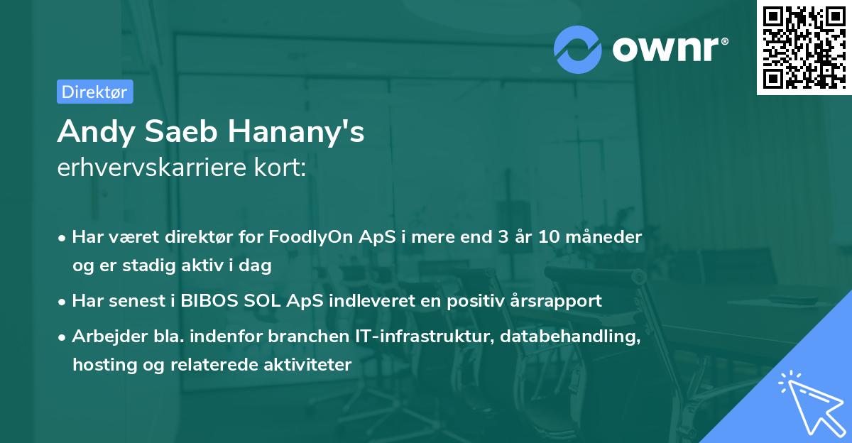 Andy Saeb Hanany's erhvervskarriere kort
