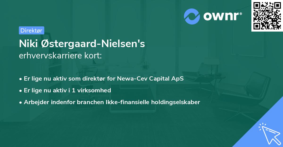 Niki Østergaard-Nielsen's erhvervskarriere kort