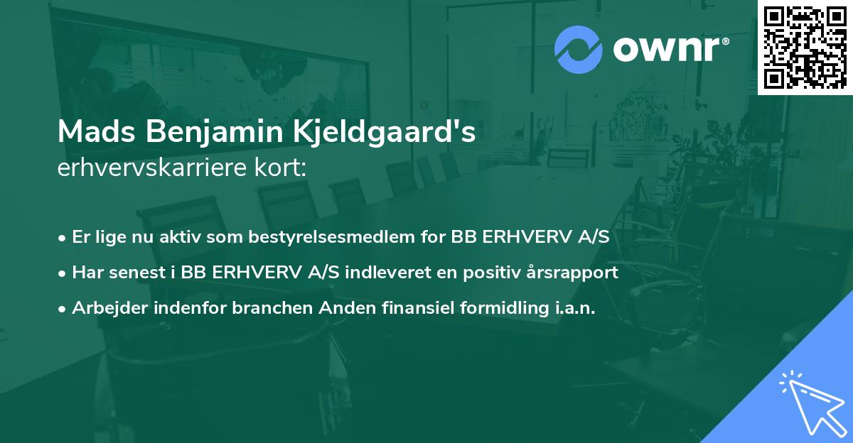 Mads Benjamin Kjeldgaard's erhvervskarriere kort