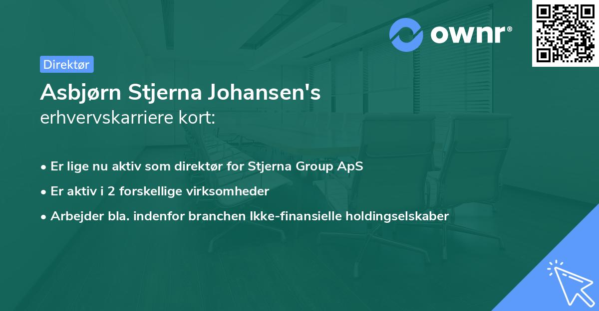 Asbjørn Stjerna Johansen's erhvervskarriere kort