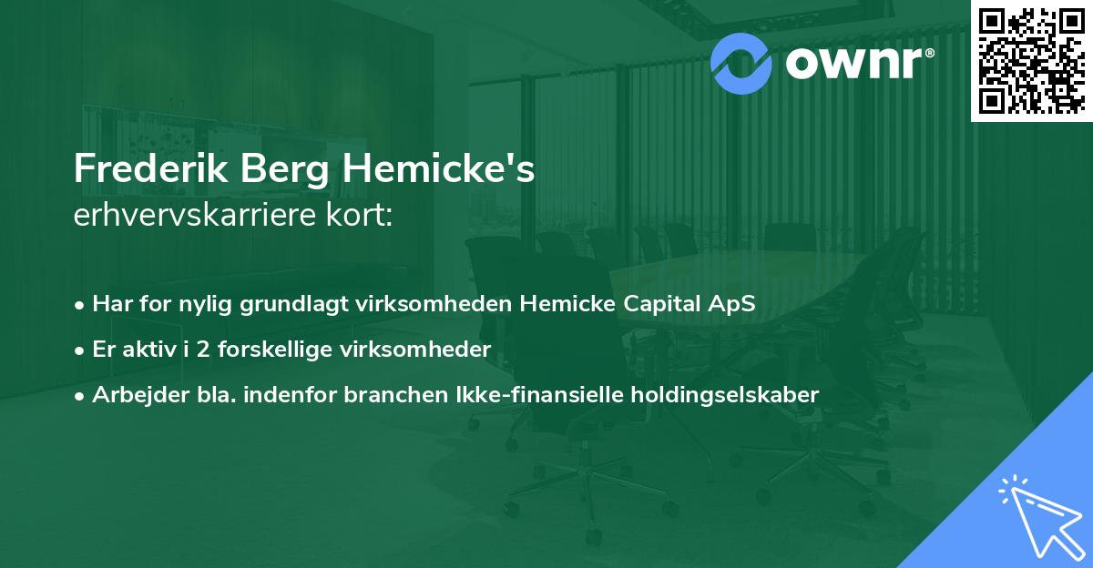 Frederik Berg Hemicke's erhvervskarriere kort