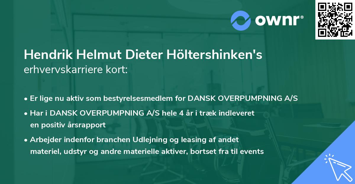 Hendrik Helmut Dieter Höltershinken's erhvervskarriere kort