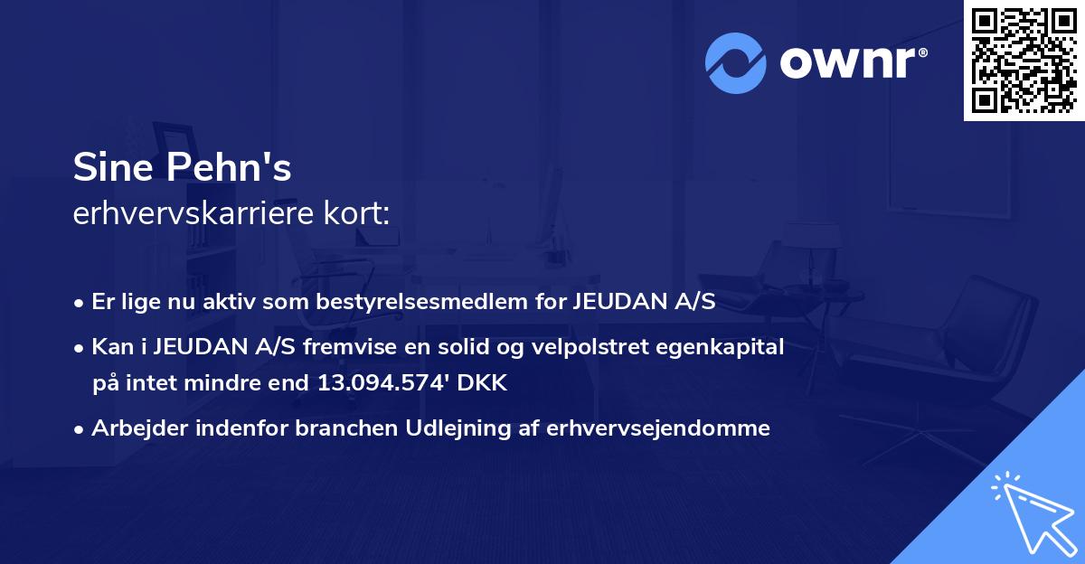 Sine Pehn's erhvervskarriere kort