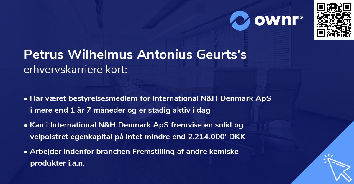 Petrus Wilhelmus Antonius Geurts's erhvervskarriere kort