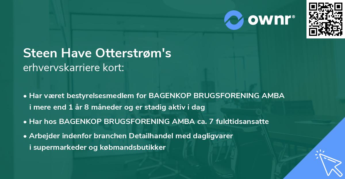 Steen Have Otterstrøm's erhvervskarriere kort