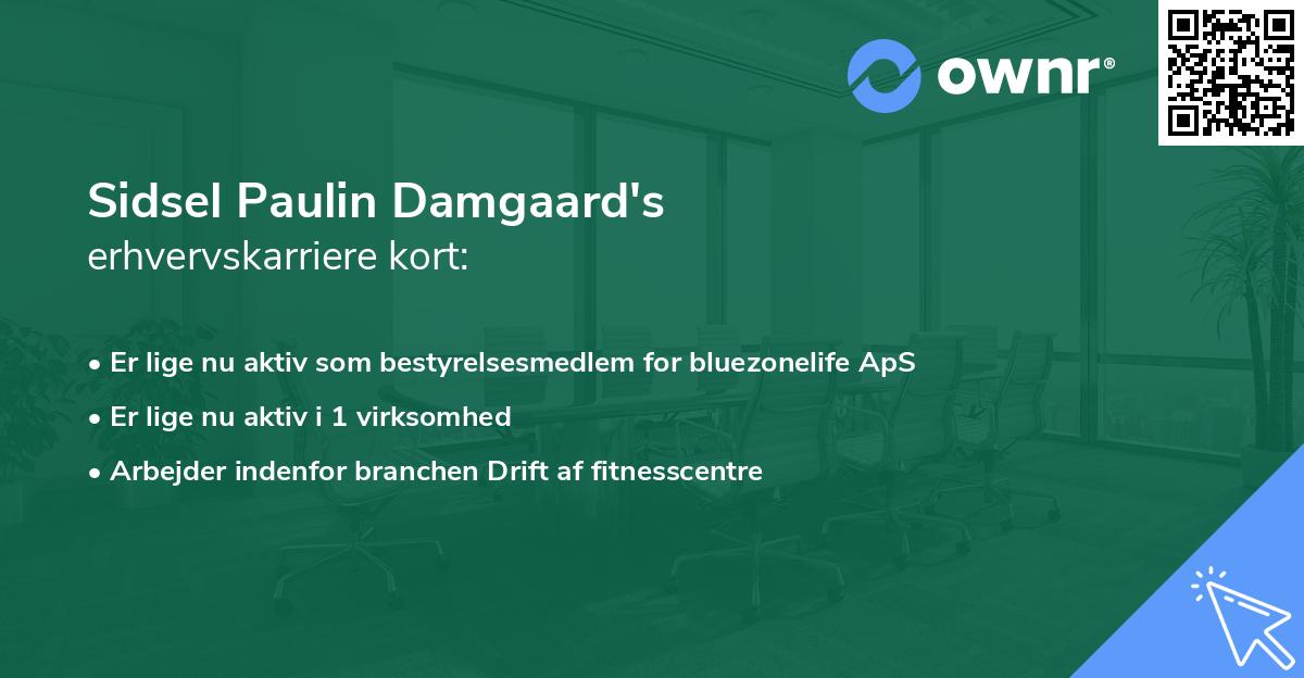 Sidsel Paulin Damgaard's erhvervskarriere kort